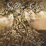 Southern Cross -《Down Below 》[MP3]