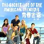 《青春密语 第二季》(The Secret Life Of The American Teenager Season 2)[双语字幕][更新01&14集][YYeTs人人影视][RMVB]