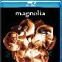 《木兰花》(Magnolia)CHD联盟[720P]