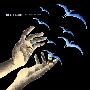 The Helio Sequence -《Keep Your Eyes Ahead》