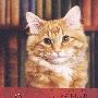 《小猫杜威》(Dewey: The Small-Town Library Cat Who Touched the World)((美)薇奇·麦仑 & (美)布赖特·维特)文字版[PDF]