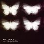 Sally Doherty -《Electric Butterfly》[iTunes Plus AAC]