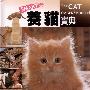 《SMART养猫宝典》(The Cat Owner's Handbook)((英)葛拉汉·米道斯 & (英)艾尔莎·弗林特)精装本,扫描版[PDF]