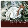 《专业婚礼摄影》(Professional Wedding Photography)(Damien Lovegrove)[PDF]