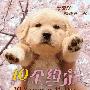 《与狗狗的10个约定》(10 Promises to my Dog   )国语/日语[HALFCD]