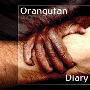 《BBC 猩猩日记 第一季》(BBC Orangutan Diary Season 1)更新至第2集[DVDRip]