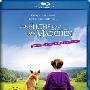 《狐狸与孩子》(The Fox And The Child)WiKi/国法双语[720P]