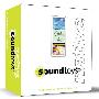 《SoundToys Native Effects 插件包》(SoundToys.Native.Effects.VST.RTAS)v3.1.2[压缩包]