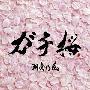 湘南乃風(Syonannokaze) -《ガチ桜》单曲[MP3]
