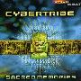 Cybertribe 网络部落 -《神圣记忆》(Sacred Memories)[MP3]