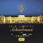 Daniel Barenboim & Wiener Philharmoniker -《2009年仲夏夜美泉宫音乐会》(Sommernachtskonzert Schönbrunn 2009)[DG 0002894763475][APE]