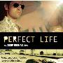 《完美生活》(Perfect Life)[DVDRip]