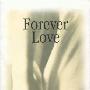 X Japan -《Forever Love》单曲[APE]