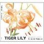 kenmochi hidefumi -《Tiger Lily》专辑[MP3]