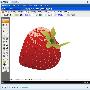 《Illustrator CS3自学实例教程》(Illustrator CS3 Tutorial)avi格式视频文件[压缩包]