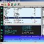 《网站流量检测软件》(Monitor Wolf)v2.00/含破解补丁[压缩包]