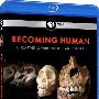《新星：人类起源》(NOVA Becoming Human)[BDRip]