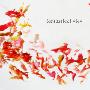 Nomak -《Fantastical View》专辑[MP3]
