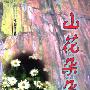 《山花朵朵》(李朝信)文字版[PDF]