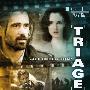 《验伤》(Triage)[DVDRip]