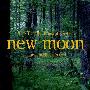 Twilight Romantic Series -《新月 - 浪漫旋律 (非官方配乐)》(New Moon - Romantic Lullaby (The Unofficial Score))[iTunes Plus AAC]