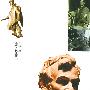 《在边缘看世界》(林达)扫描版[PDF]