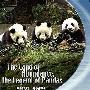 《卧龙天府 熊猫传奇》(The Land Of Abundance The Legend Of Pandas)WiKi/国英双语[x264][720P]
