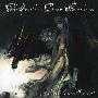 The Synthetic Dream Foundation -《Mechanical Serpent》[MP3]
