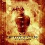 The Elysian Fields -《Suffering G.O.D Almighty》[MP3]