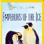 《国家地理频道 帝企鹅》(National Geographic Emperors of the Ice)[DVDRip]