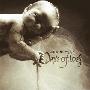 Days Of Loss -《Life Is Decay》[MP3]