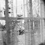 Paul McCartney -《Chaos and Creation in the Backyard》[MP3]