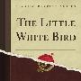《小白鸟》(The Little White Bird)((英)詹姆斯·马修·巴里)英文文字版[PDF]