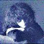 森田童子(Morita Doji) -《狼少年》(wolf boy)专辑[MP3]