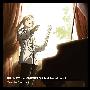 《钢之炼金术师FA原声集》(FULLMETAL ALCHEMIST)[TVA OST 2][320kbps][MP3]