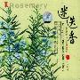 群星 -《芳香疗法心灵音乐 - 迷迭香》(The Fragrant Pharmacy Spirit Music - Rosemary)[APE]