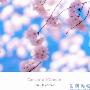 水树奈奈(Nana.Mizuki) -《The place of happiness》单曲（附BK）[APE]
