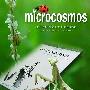 《微观世界》(Microcosmos)导演剪辑版[720P]