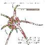 群星 -《万物生长 高晓松作品集》320kbps[MP3]