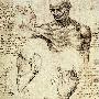 《达·芬奇笔记》(Leonardo Da Vinci Notebooks)((意)达·芬奇 & (英)艾玛·阿·里斯特)扫描版[PDF]