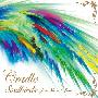 Cradle Orchestra -《Soulbirds feat.Nieve&Jean》专辑[MP3]