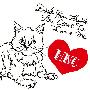HNC(Hazel Nuts Chocolate) -《Don't You Think You Come to Love Me》单曲[MP3]