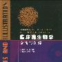《临床微生物学诊断与图解》(Diagnosis and Illustration of Clinical Microbiology)(周庭银&赵虎)扫描版[PDF]
