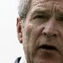 《小布什广播讲话2008》(Bush's radio address 2008)[压缩包]
