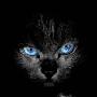 《老猫》EBC5 播讲 卫斯理科幻小说系列[MP3]