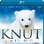 《克鲁特和朋友们》(Knut And Friends)[BDRip]