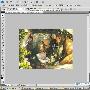 《photoshop》(photoshop)7.0~CS4[压缩包]