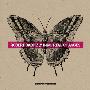 Robert Babicz -《Immortal Changes》[MP3]