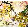 Anan Ryoko -《Another Beginning》[MP3]