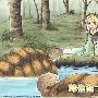 《炼金术士玛莉》(ATELIER MARIE)[光盘镜像]
